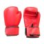Set de box junior cu manusi-marime 8