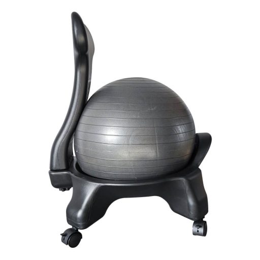 Scaun fitness cu minge de 55cm si pompa