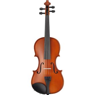 Set vioara acustica in carcasa