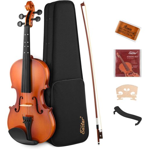 Set vioara acustica in carcasa