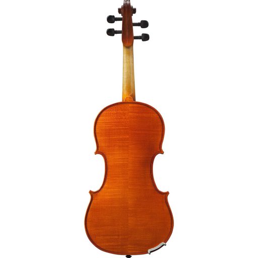 Set vioara acustica in carcasa