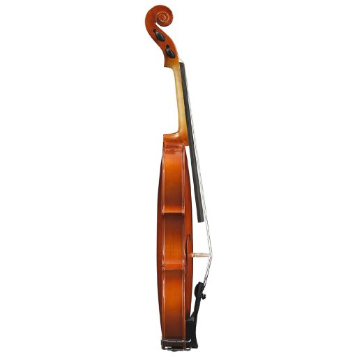 Set vioara acustica in carcasa