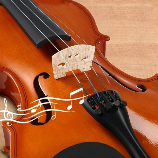 Set vioara acustica in carcasa