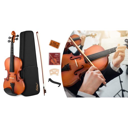 Set vioara acustica in carcasa