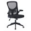 Scaun de birou ergonomic cu cotiera rabatabila, negru