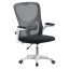 Scaun de birou ergonomic cu cotiera rabatabila, alb