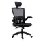 Scaun de birou ergonomic cu suport lombar si tetiera, negru