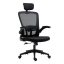 Scaun de birou ergonomic cu suport lombar si tetiera, negru