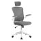 Scaun de birou ergonomic cu suport lombar si tetiera, gri