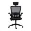 Scaun de birou ergonomic cu suport lombar si tetiera, in mai multe culori