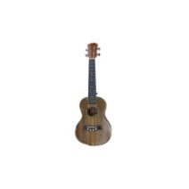 Instrument musical